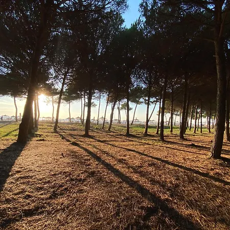 Casa vacanze Blue Laguna Pines Retreat Golem (Tirana)