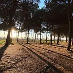 Casa vacanze Blue Laguna Pines Retreat *