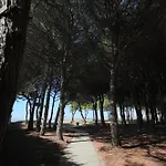 Blue Laguna Pines Retreat