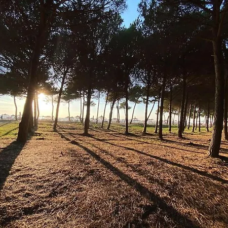 Nyaraló Pines Paradise At Blue Laguna *