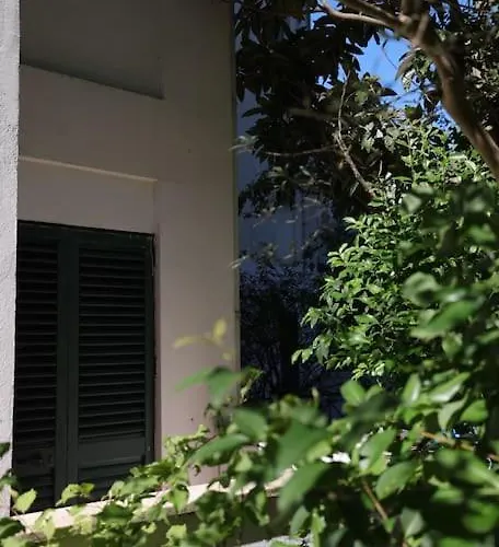 Blue Laguna Pines Retreat