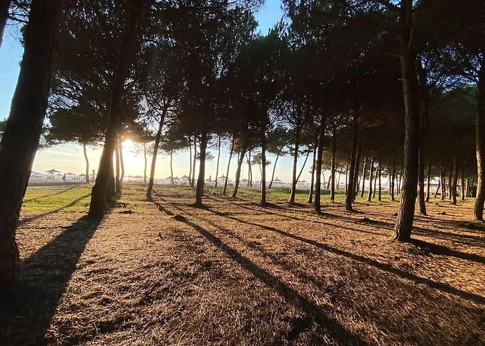 Vakantiehuis Blue Laguna Pines Retreat *