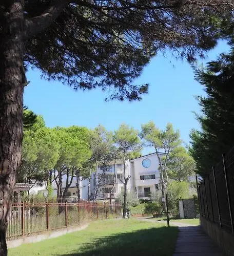 Blue Laguna Pines Retreat