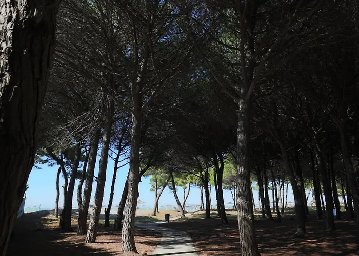 Blue Laguna Pines Retreat